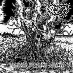 Stench Of Decay : Visions Beyond Death
